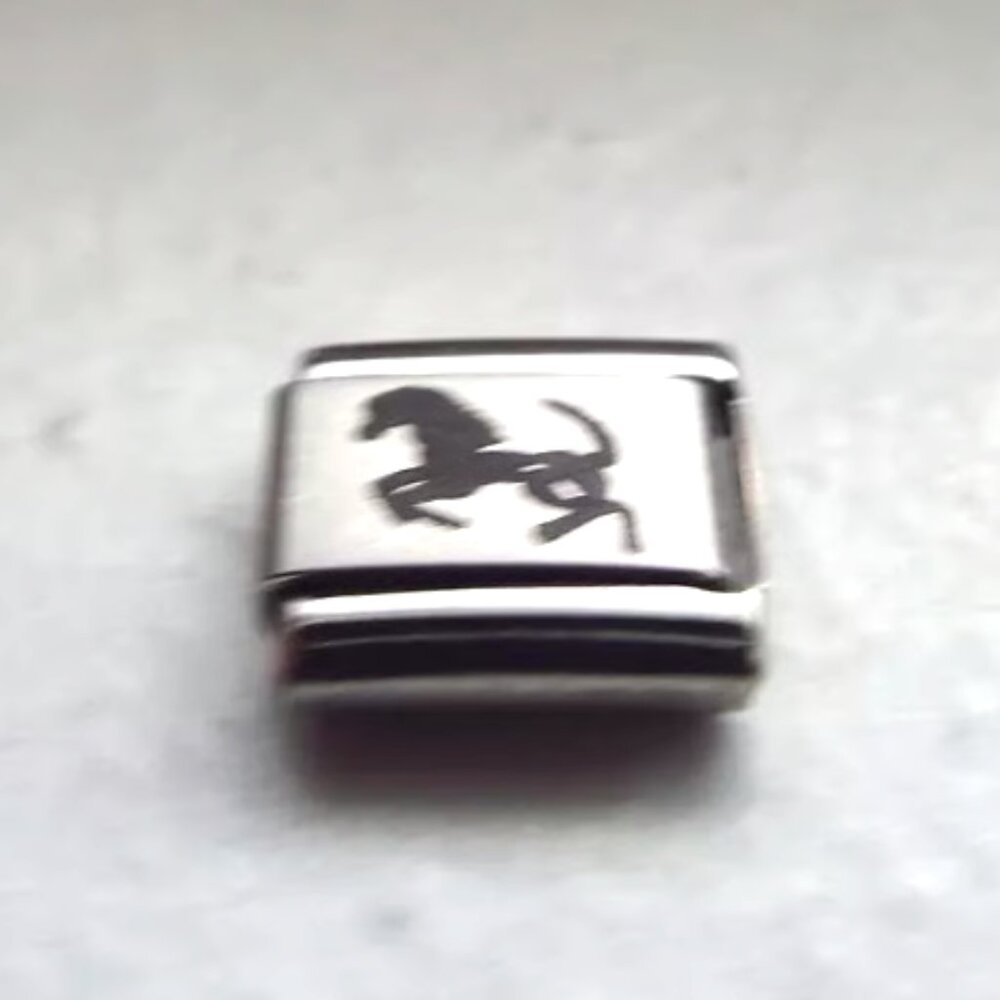 Running shadow horse laser 9mm stainless steel Italian charm bracelet link new